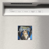 Magnet de la Brigade citrouille (In Situ (Lave-vaisselle))