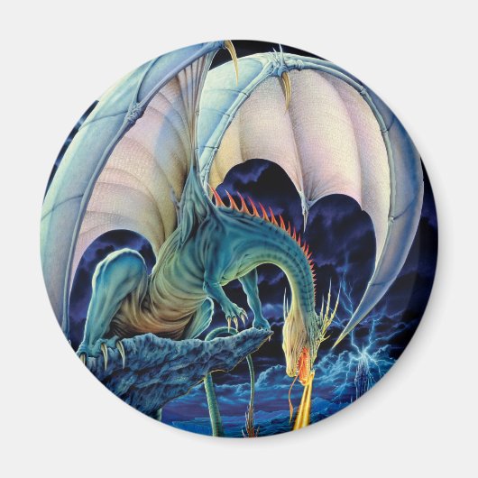 Magnet de la chaussure de dragon (Devant)