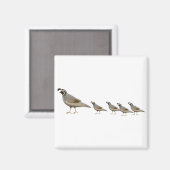 Magnet de la famille Quail (Recto/Verso)