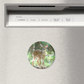 Magnet de la faune du cerf blanc (In Situ (Lave-vaisselle))