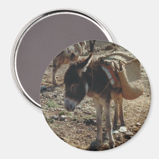 Magnet de la Mule marocaine (Recto/Verso)