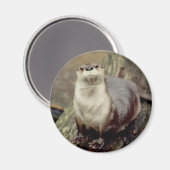 Magnet de la rivière Otter (Recto/Verso)