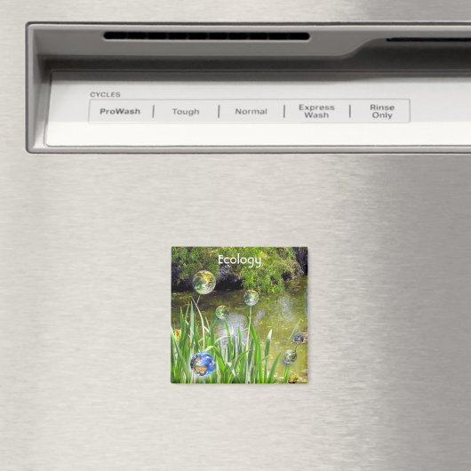 Magnet de la Terre mère (In Situ (Lave-vaisselle))