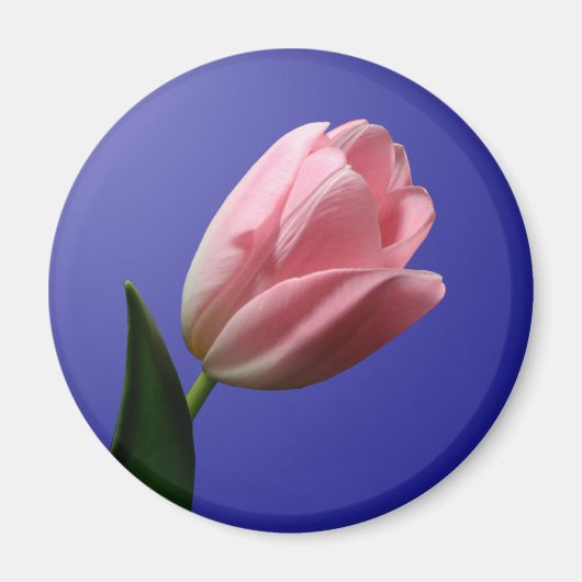 Magnet de la tulipe de mariage du printemps (Devant)