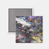 Magnet de la vie marine (Recto/Verso)