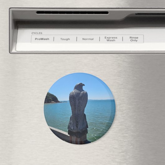 Magnet de l'aigle (In Situ (Lave-vaisselle))