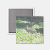 Magnet de lapin sauvage (Recto/Verso)
