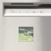 Magnet de lapin sauvage (In Situ (Lave-vaisselle))