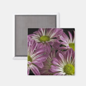 Magnet de lavande (Recto/Verso)