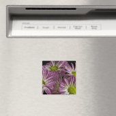 Magnet de lavande (In Situ (Lave-vaisselle))