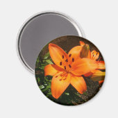 Magnet de lentilles orange (Recto/Verso)