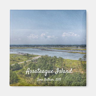 Magnet de l'île d'Assateague