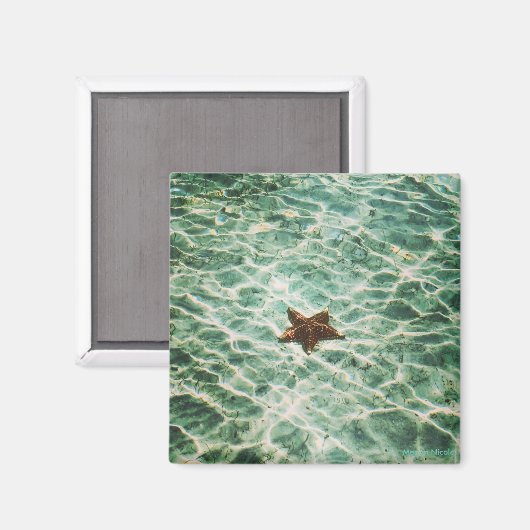 Magnet de l'île Starfish (Recto/Verso)