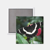 Magnet de Lolipop papillon (Recto/Verso)