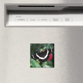 Magnet de Lolipop papillon (In Situ (Lave-vaisselle))