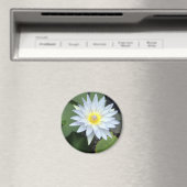 Magnet de lotus blanc (In Situ (Lave-vaisselle))