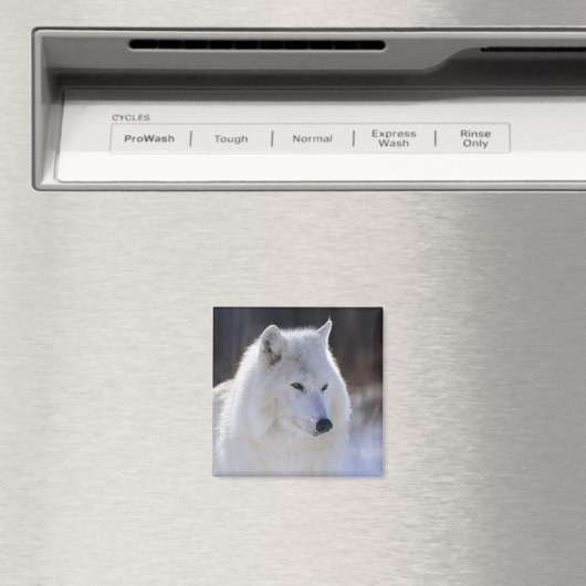 Magnet de loup arctique (In Situ (Lave-vaisselle))