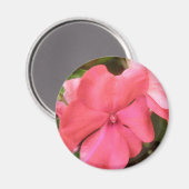 Magnet de macro à fleurs rose Impatiens (Recto/Verso)