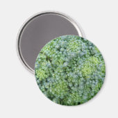 Magnet de macro Broccoli (Recto/Verso)