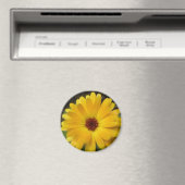 Magnet de macro marigold jaune (In Situ (Lave-vaisselle))