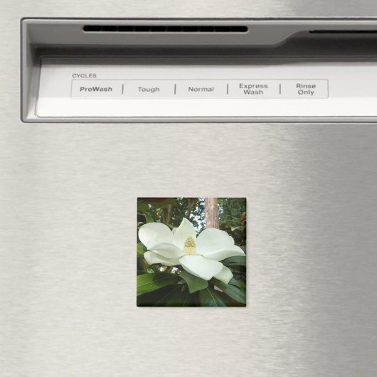 Magnet de Magnolia Grandiflora (In Situ (Lave-vaisselle))