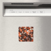 Magnet de maïs (In Situ (Lave-vaisselle))