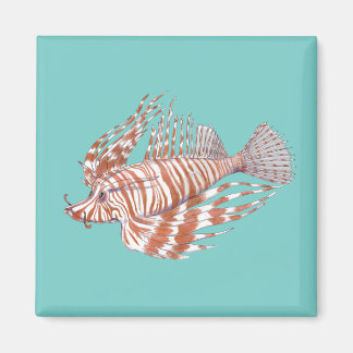 Magnet de manchu de poisson