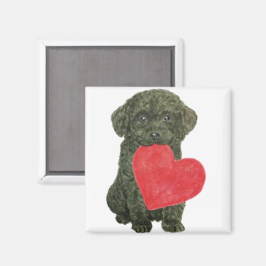 Magnet de marionnettes (Recto/Verso)