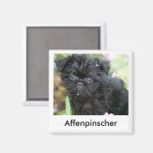 Magnet de marionnettes Affenpinscher (Recto/Verso)