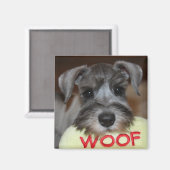 Magnet de marionnettes Schnauzer (Recto/Verso)