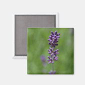 Magnet de mesure (Recto/Verso)