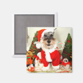 Magnet de Noël de Mini Schnauzer (Recto/Verso)