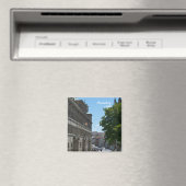 Magnet de Nuremberg (In Situ (Lave-vaisselle))