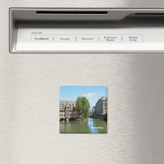Magnet de Nuremberg (In Situ (Lave-vaisselle))