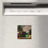 Magnet de palme (In Situ (Lave-vaisselle))