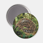 Magnet de pangoline (Recto/Verso)