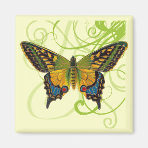 Magnet de papillons
