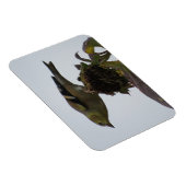 Magnet de perche de tournesol Goldfinch (Côté Droit)