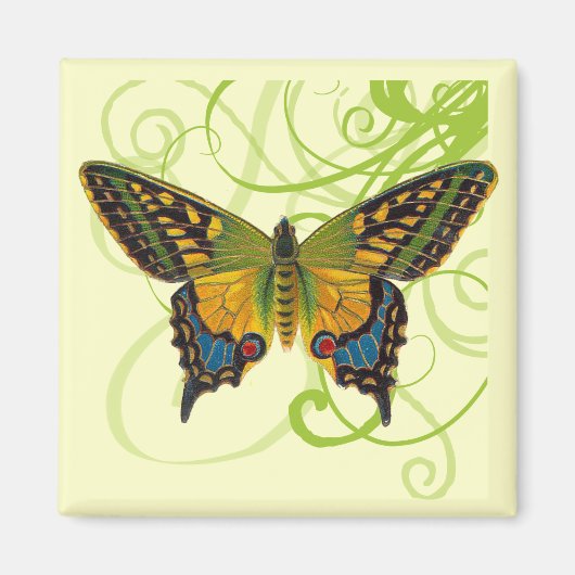 Magnet de persiennes papillon (Devant)