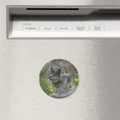 Magnet de photographie de la faune du loup gris (In Situ (Lave-vaisselle))