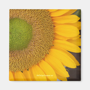 Magnet de photographie des fleurs de tournesol