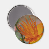 Magnet de photographie orange jaune (Recto/Verso)