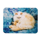 Magnet de photos de chat persan (Horizontal)