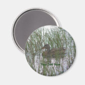 Magnet de photos de la nature de Canard Brown (Recto/Verso)
