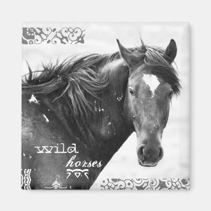 Magnet de photos de Wild Horse Southwest