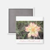 Magnet de pintades indiennes (Recto/Verso)