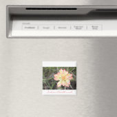 Magnet de pintades indiennes (In Situ (Lave-vaisselle))