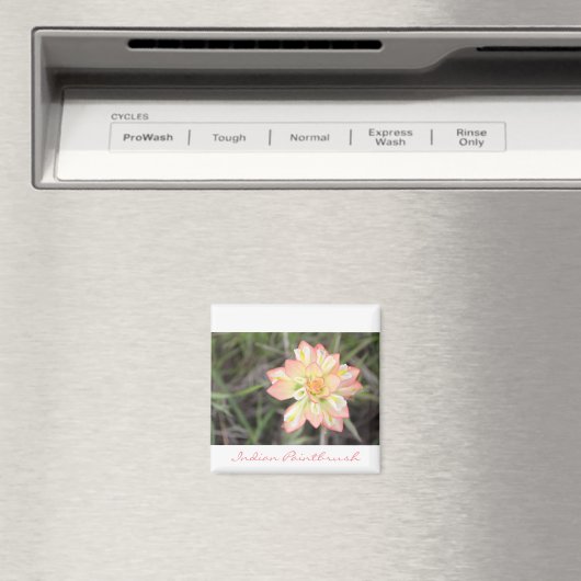 Magnet de pintades indiennes (In Situ (Lave-vaisselle))