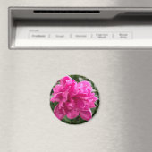 Magnet de pivoine (In Situ (Lave-vaisselle))