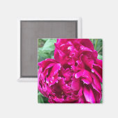 Magnet de pivoine (Recto/Verso)
